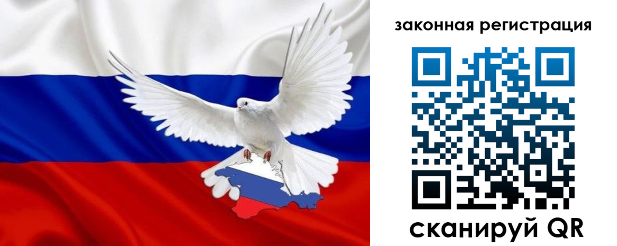 где прописаться в Каргополе